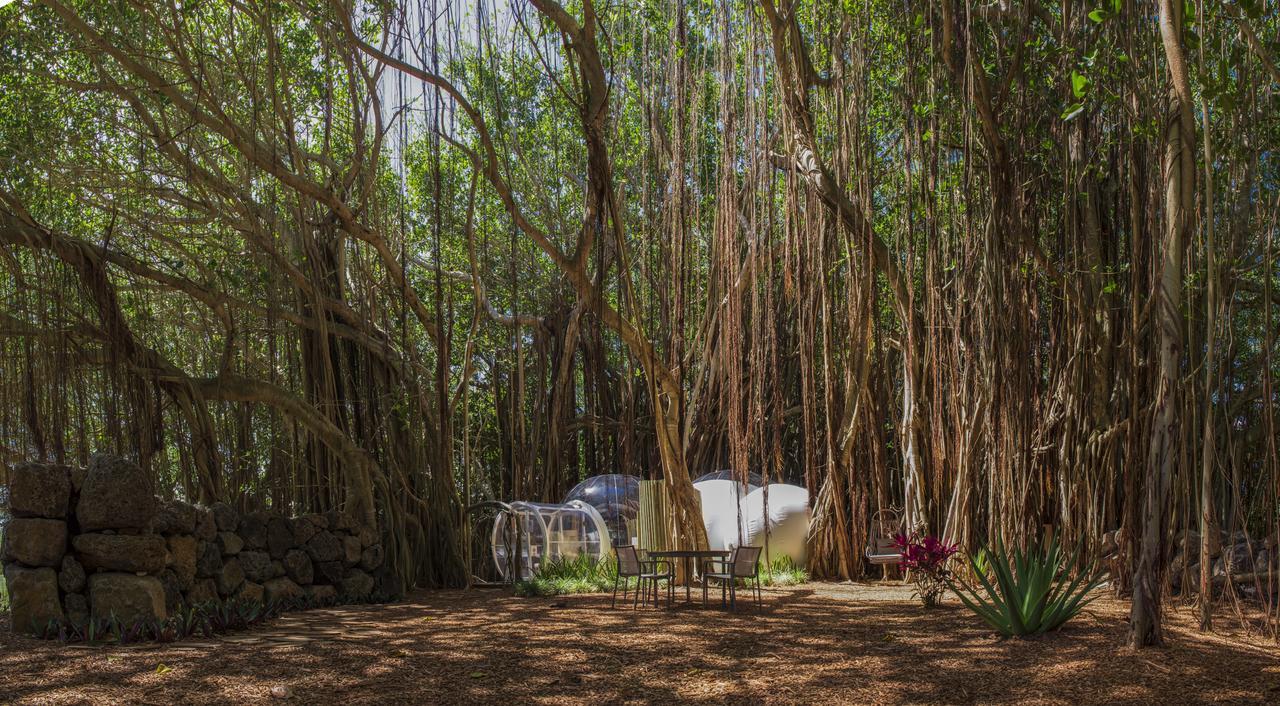 Bubble Lodge Ile Aux Cerfs Island Екстериор снимка